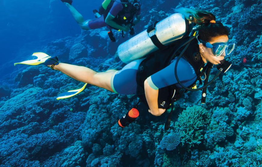 Scuba Diving in Goa: Dive into the Adventure!